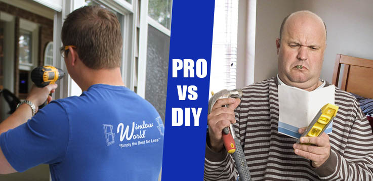 pro vs diy