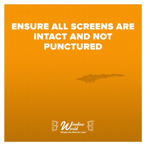Ensure All Screens Are Intact And Not Punctured